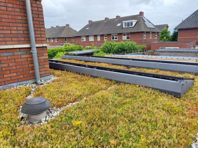 Groendak-Buurtactie-Leeuwarden-1