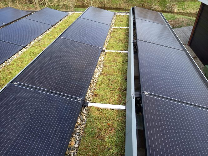 WhatsApp Image 2022-04-13 at 7.18.30 PM (2)