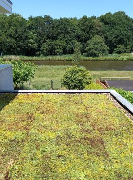 WhatsApp-Image-2022-07-05-at-2.52.16-PM