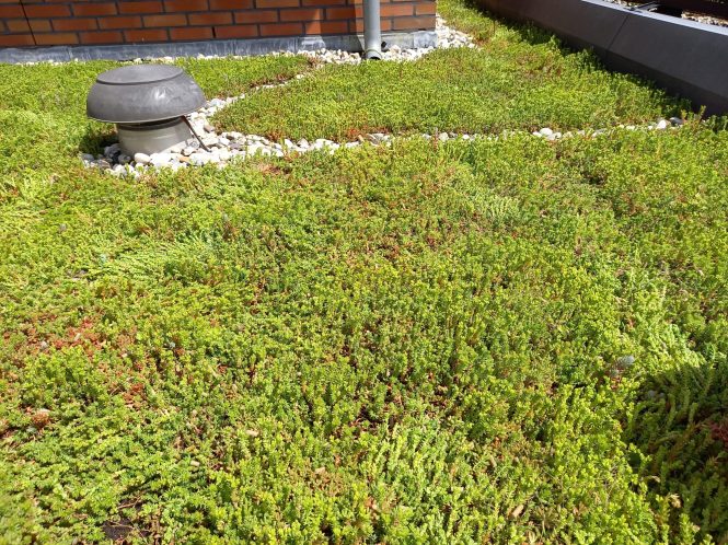 WhatsApp Image 2022-07-30 at 12.43.44 PM